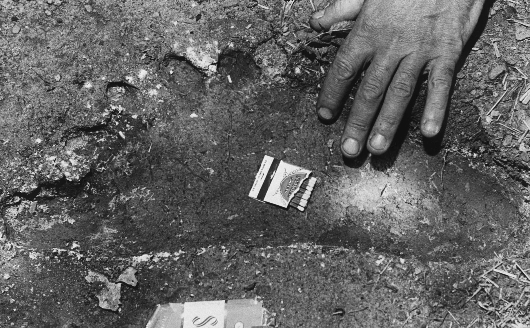 1980: The legend of Bigfoot